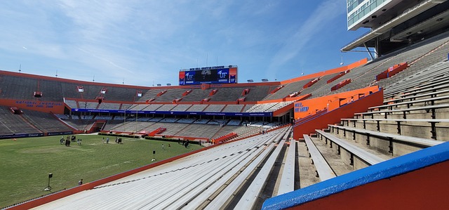 为明日的辉 为明日的辉