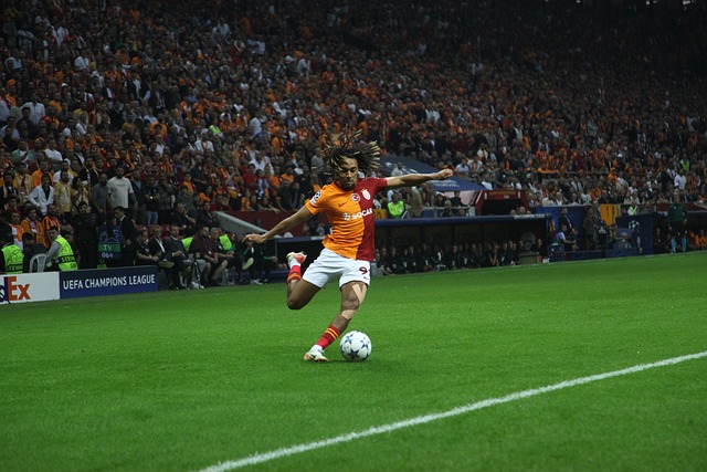 略和默契的 略和默契的