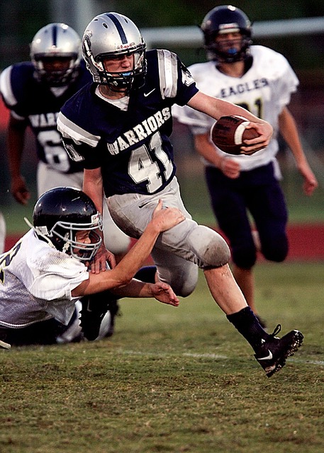 积分榜获得 积分榜获得