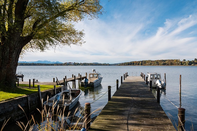 裁判的作用 裁判的作用