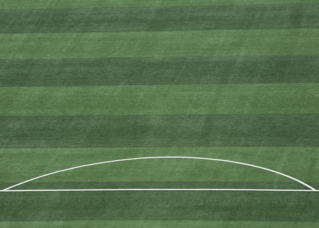 为缅怀朱利 为缅怀朱利