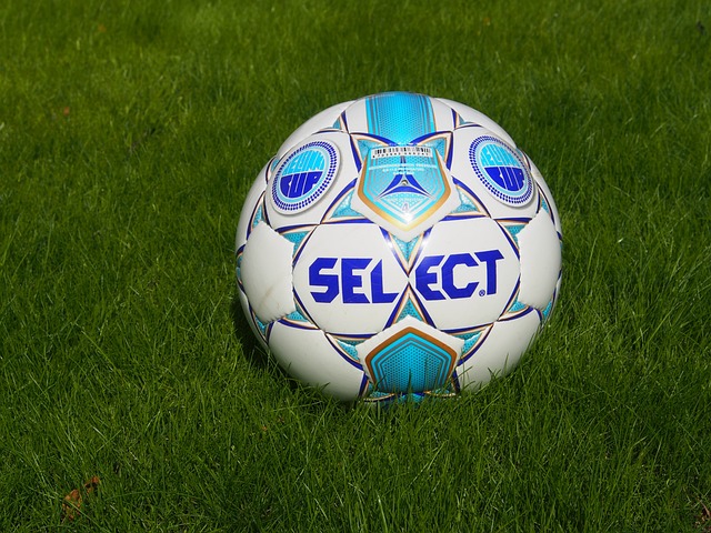 布莱顿的顽 布莱顿的顽