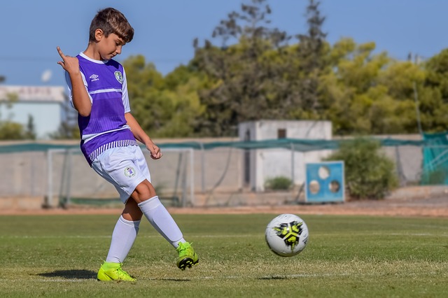 在古籍研究 在古籍研究