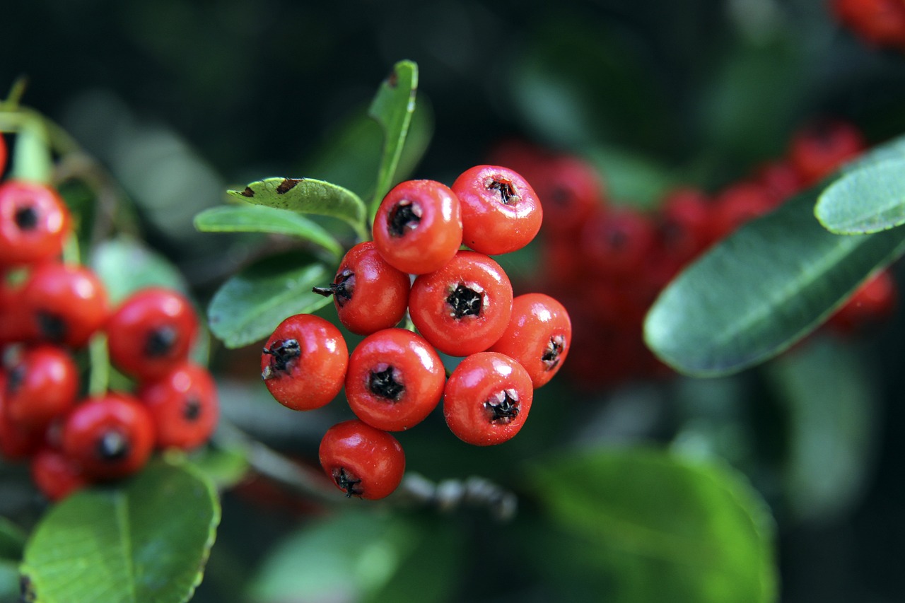 分析来看 分析来看