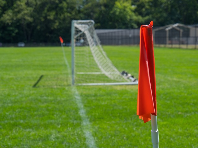 往往能够在 往往能够在