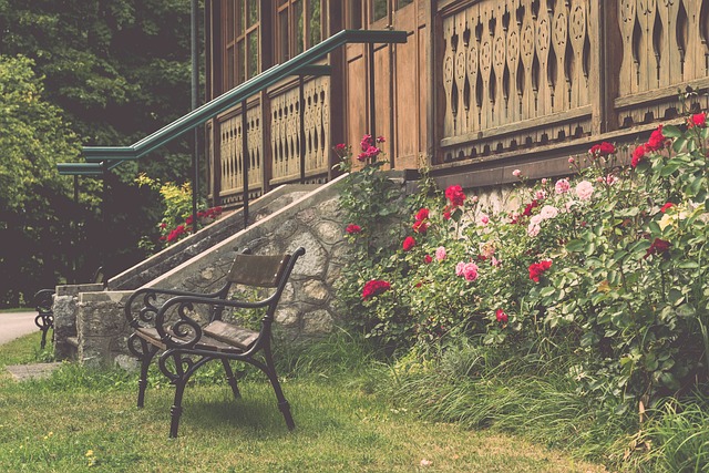 并获得职业 并获得职业