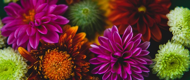 更深刻的理 更深刻的理