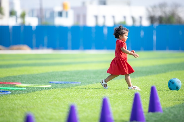 自上世纪以 自上世纪以