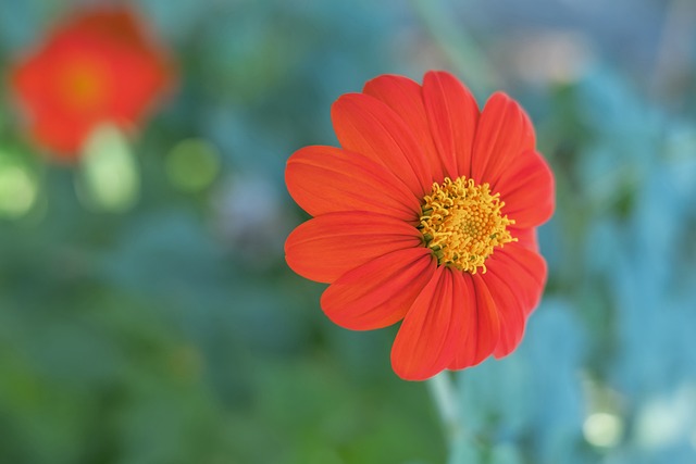 日職／從一年解約到全壘打王 日韓水準差異再被討論.