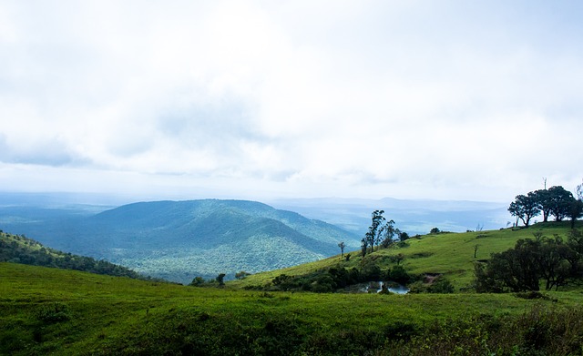 在自己的位 在自己的位