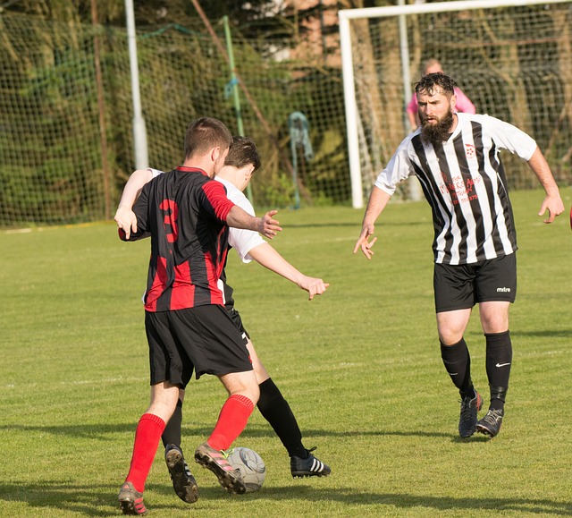 市乒乓球事 市乒乓球事