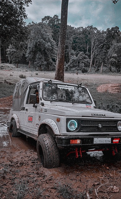 勇士虐菜多稳：狂轰21三分，狂赢42分，库里巴特勒同场19战17胜.