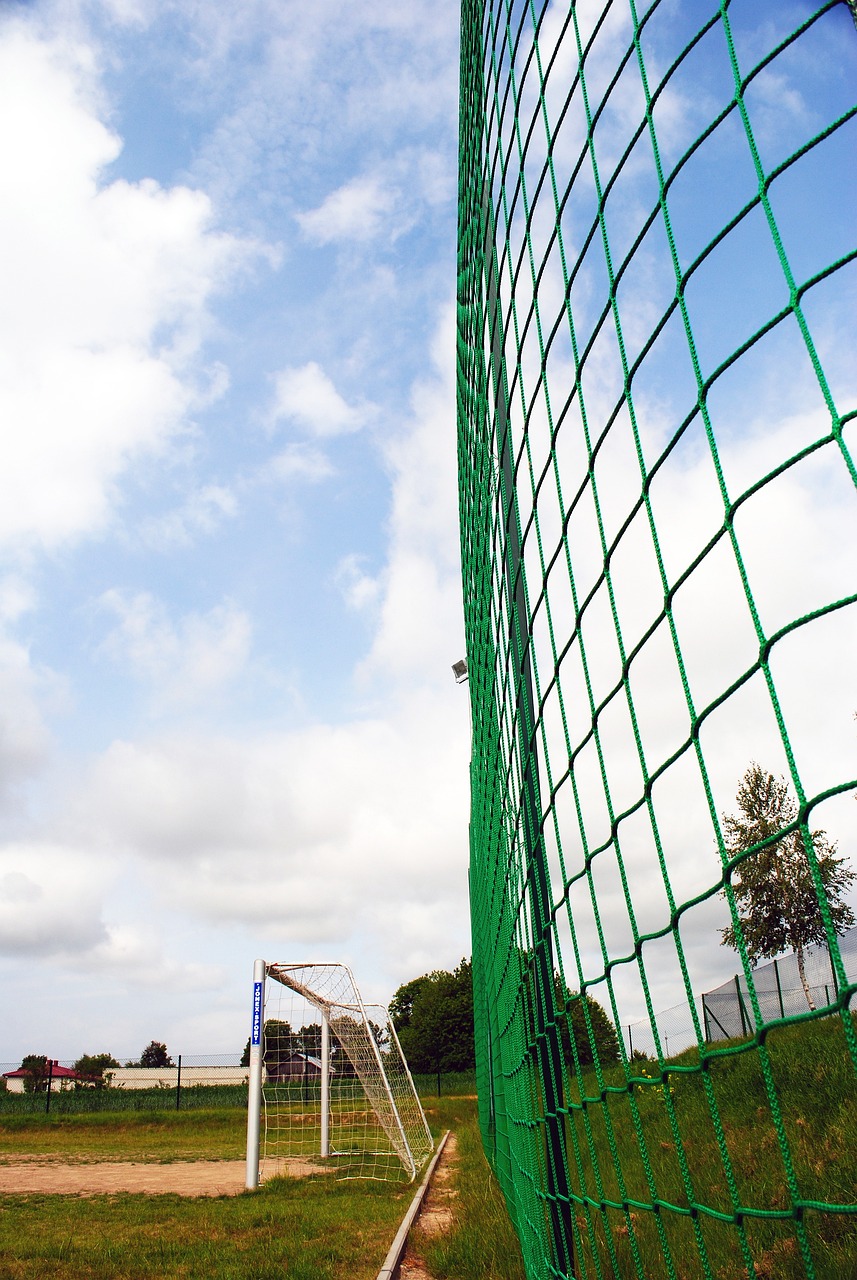 展的动力 展的动力