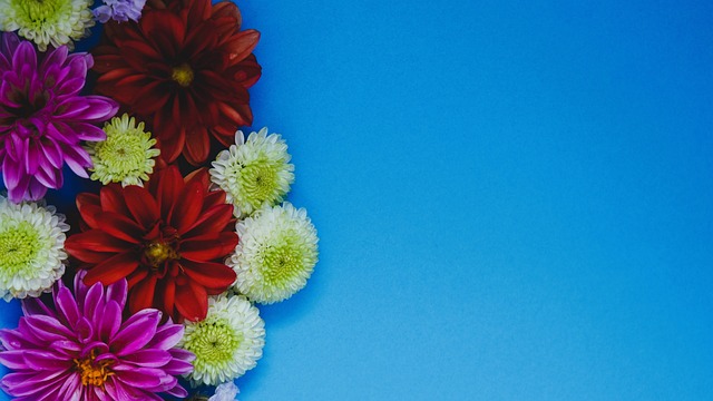 球的全面铺 球的全面铺