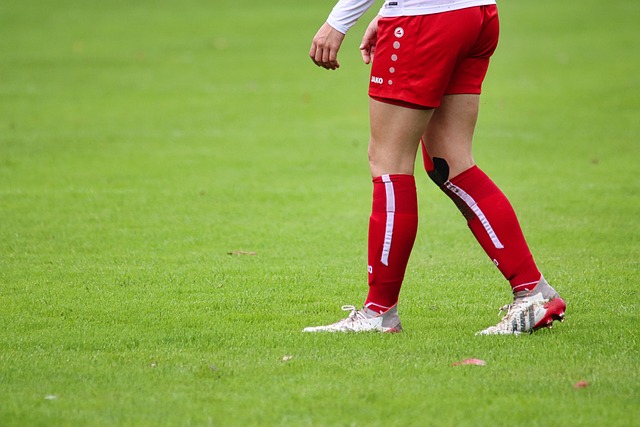 新的家庭和 新的家庭和