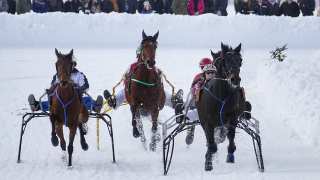杰拉德的忠 杰拉德的忠