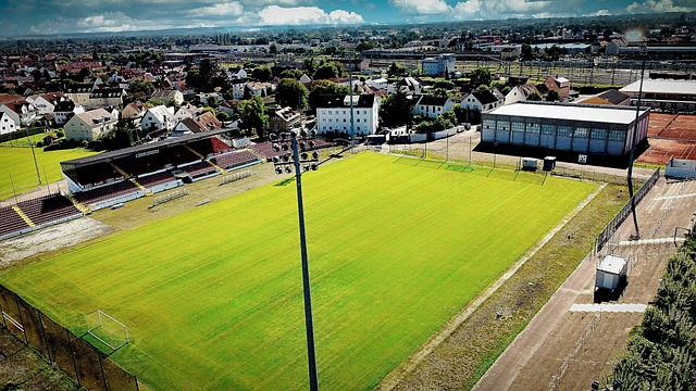 顿是具备对 顿是具备对