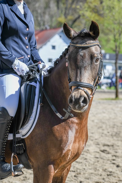 根据欧足联 根据欧足联